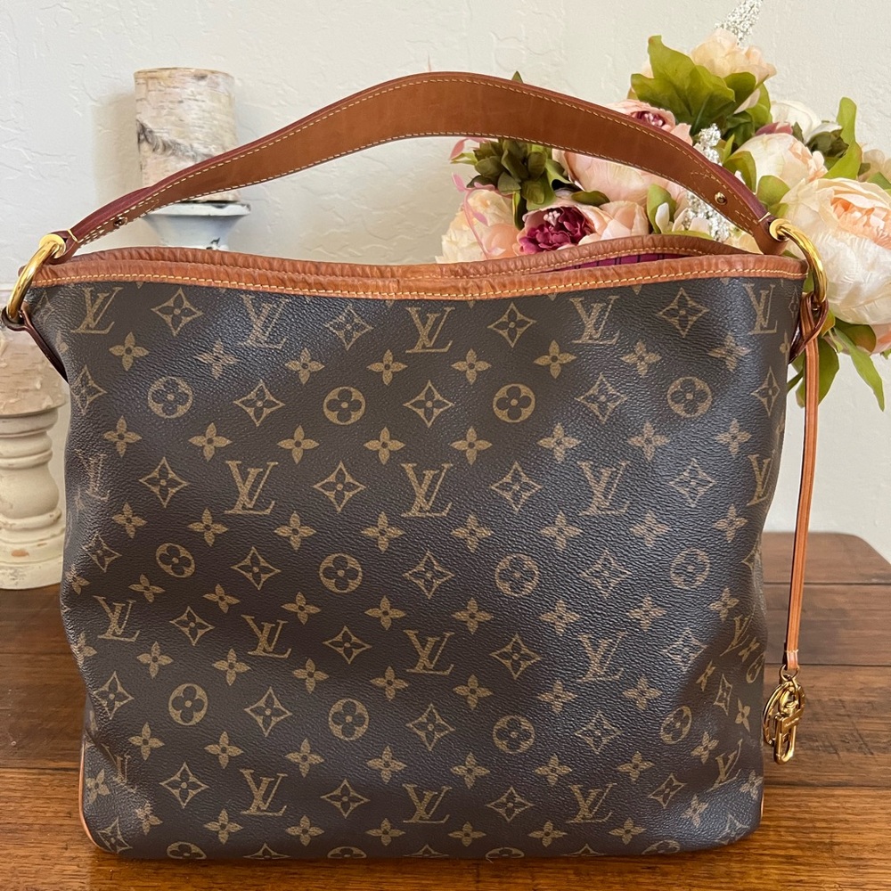 Louis Vuitton Monogram Canvas Delightful MM - DISCONTINUED